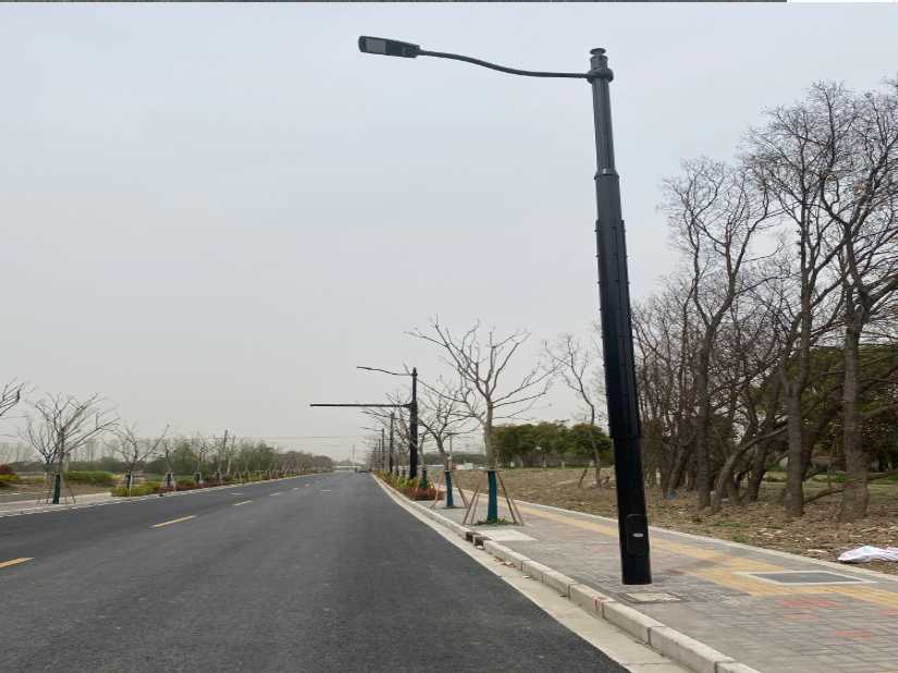大田县上海综合杆 太阳能路灯工程